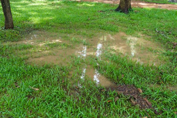 Cost of Storm Water Drainage Service in Johnstown