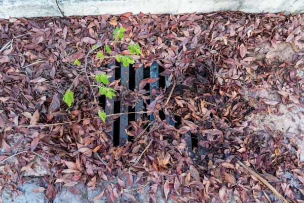 Cost of Yard Drain Unclogging in Johnstown