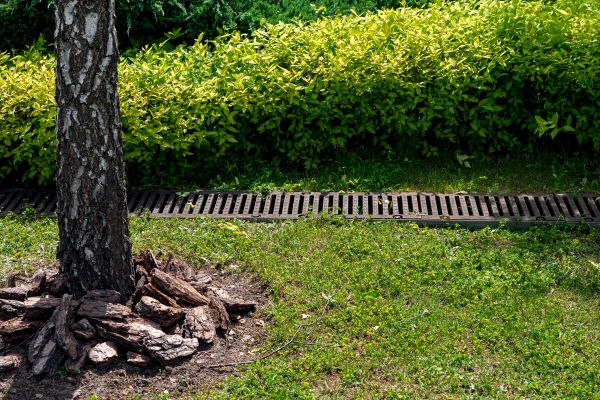 Cost of Wet Yard Drainage in Johnstown