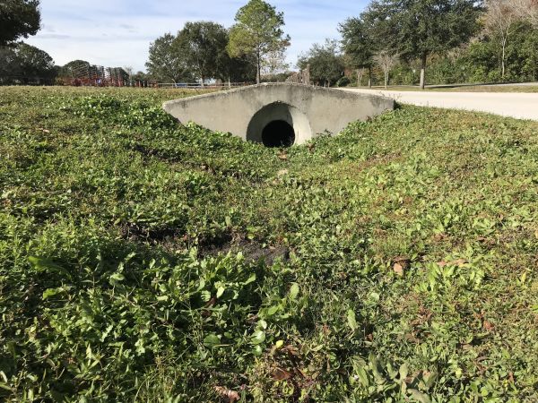 Cost of Swale Drainage Service in Johnstown