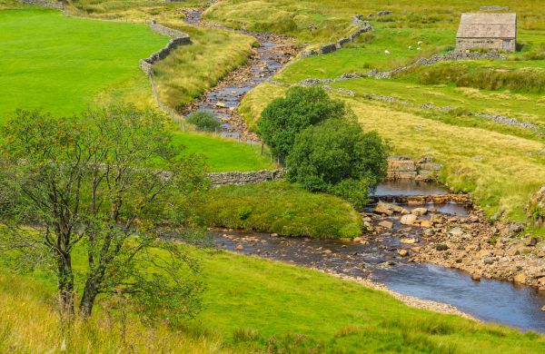 Cost of Swale Repair in Johnstown